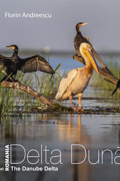 Romania: Delta Dunarii / The Danube Delta