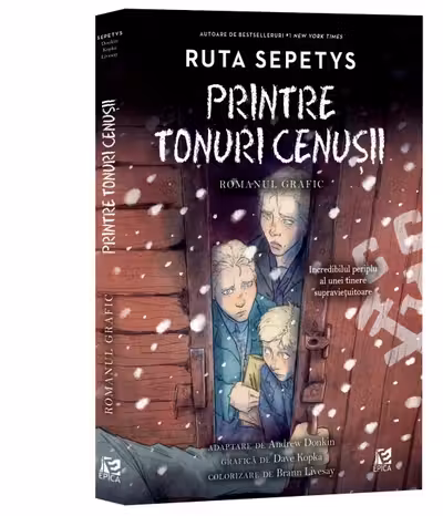 Printre tonuri cenusii. Roman grafic