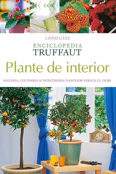Plante de interior
