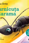 Furnicuta Diarama