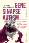 Gene, sinapse, autism