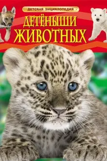 Детская энциклопедия Детеныши животных