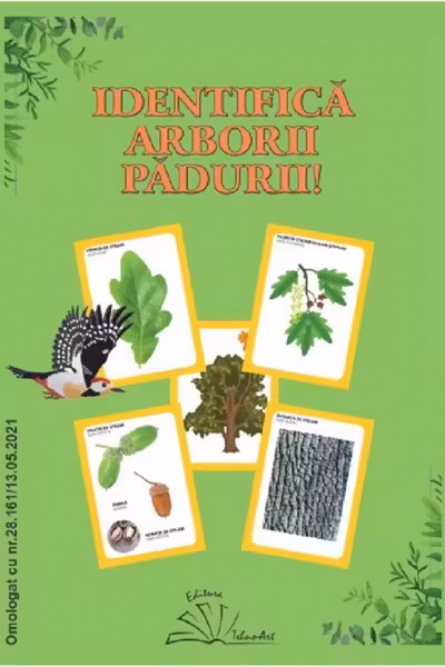 Identifică arborii pădurii