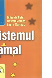 Sistemul vamal - Mihaela Belu, Cosmin Joldes, Laura Marinas