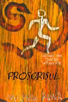 Proscrisul M.Paver