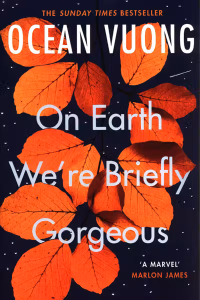On Earth We're Briefly Gorgeous