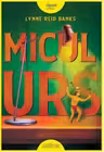 Micul Urs