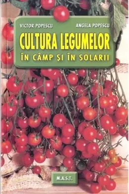Cultura legumelor in camp si solarii