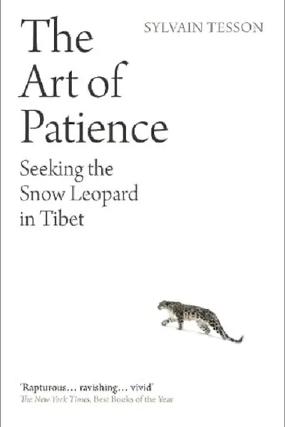 The Art of Patience