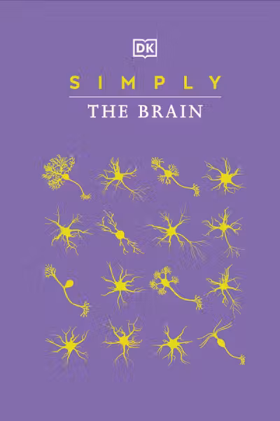 Simply The Brain