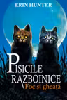 Pisicile razboinice vol.2