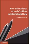 Non-International Armed Conflicts in International Law