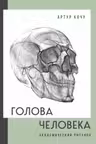 Голова человека. Академический рисунок