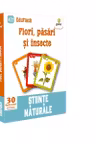 Flori pasari si insecte