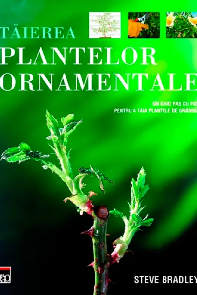 Taierea plantelor ornamentale