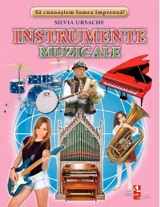 Instrumente muzicale fise
