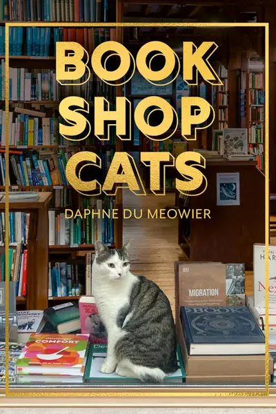 Bookshop Cats