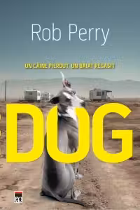 DOG. Un caine pierdut un baiat regasit