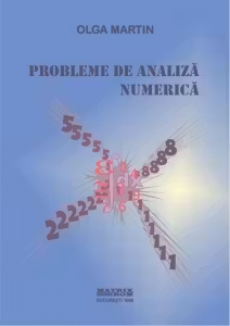 Probleme de analiza numerica