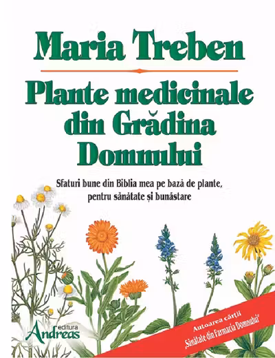 Plante medicinale din Gradina Domnului