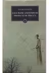 Bpt129 Cele patru anotimpuri Proiecte de trecut