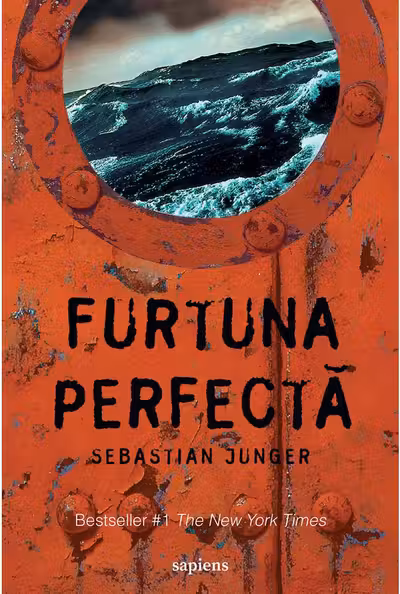 Furtuna perfecta
