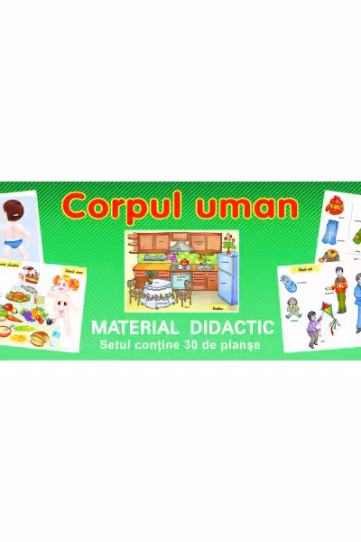 Planșe. Corpul uman (30 planșe)