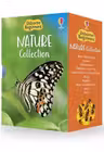 Usborne Beginners Nature 10 Books Box Set Reptiles Trees HARDCOVER