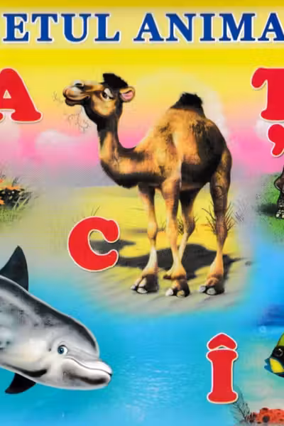 Alfabetul animalelor