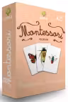 Carti de joc Montessori - Insecte din Romania