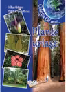 Plante uriașe