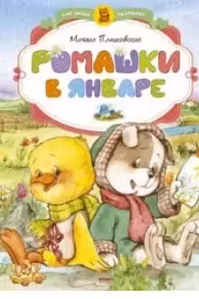 Ромашки в январе