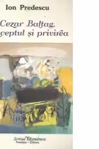 Cezar Baltag, conceptul și privirea