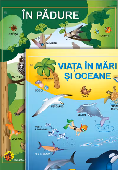 Plansa in padure Viata in mari si oceane