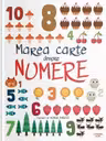MAREA CARTE DESPRE NUMERE