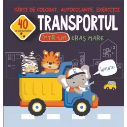 Transportul intr-un oras mare