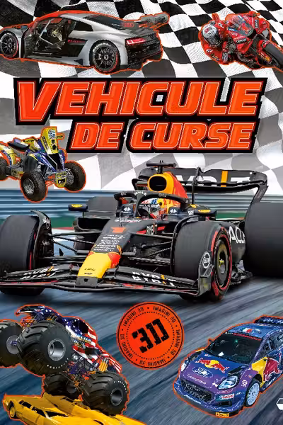 Vehicule de curse 3D