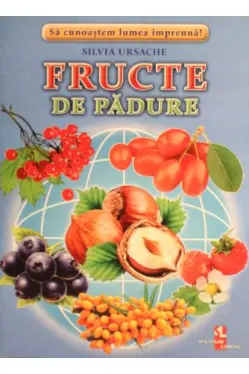 Fructe de padure fise