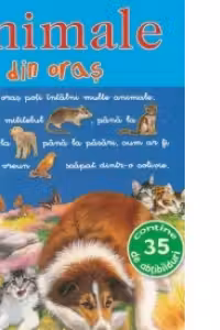Picto-abtibilduri - Animale din oras