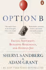 Option B