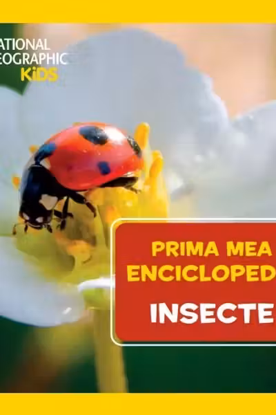 National Geographic. Prima mea enciclopedie. INSECTE.