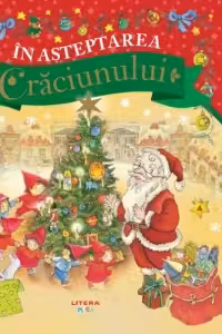 IN ASTEPTAREA CRACIUNULUI