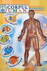 Corpul Uman