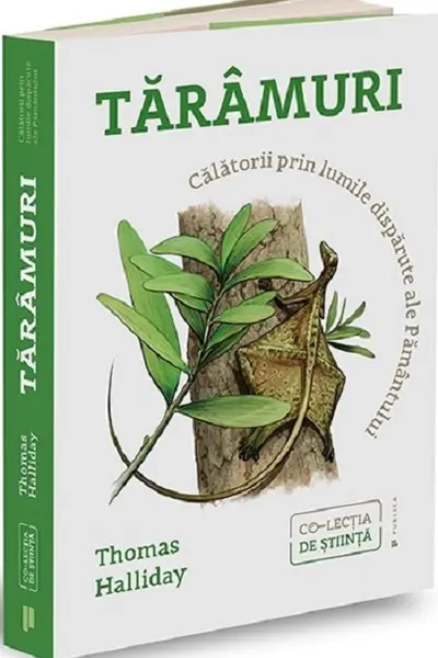 Taramuri