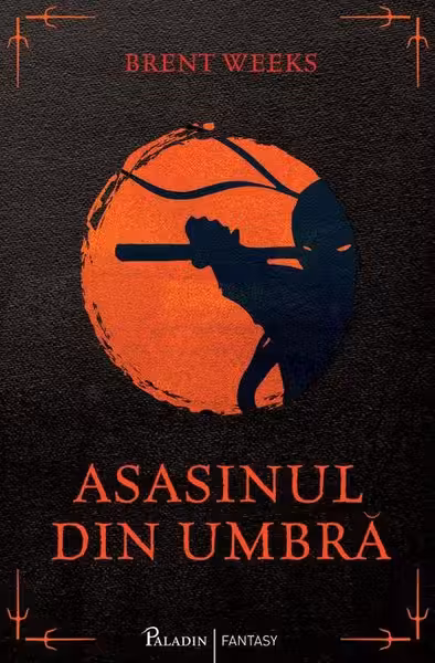 Asasinul din umbra