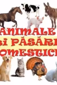 Minialbum Animale si Pasari Domestice