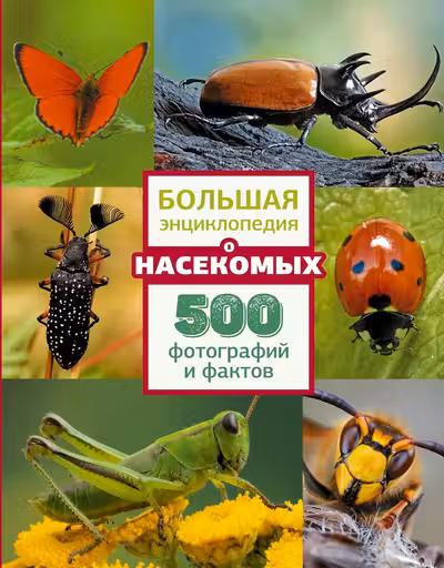 Большая энциклопедия о насекомых. 500 фотографий и фактов