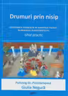 Drumuri prin nisip. Ghid practic