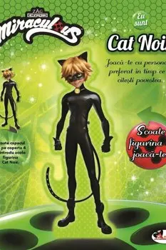 Eu sun Cat Noir