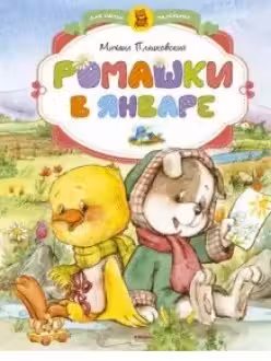 Ромашки в январе